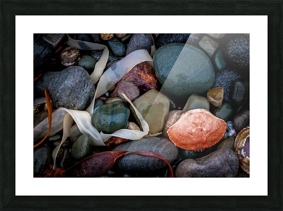 Stones and Shell Picture Frame print