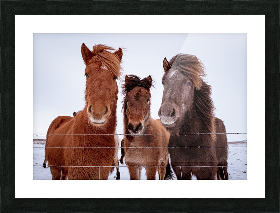 Three Amigos Picture Frame print