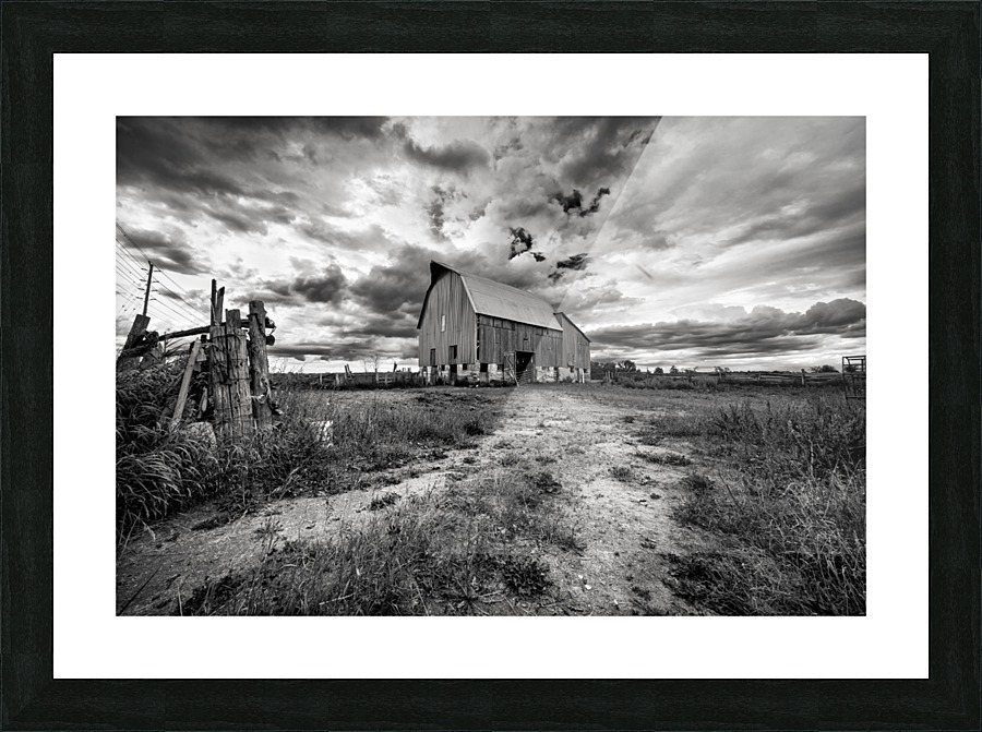 The Barnyard Picture Frame print