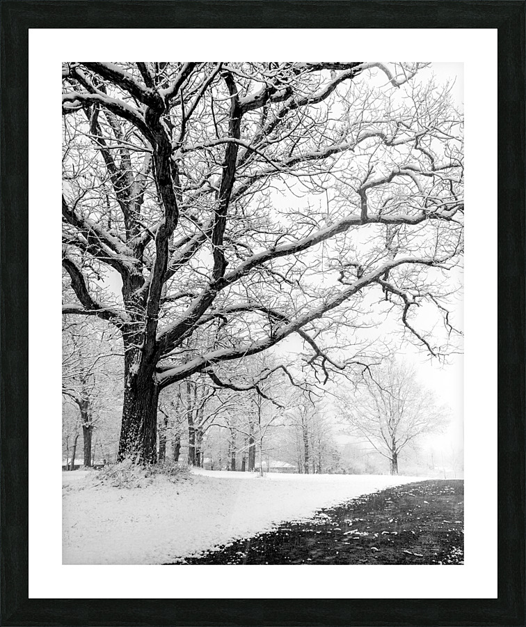 First Snowfall Picture Frame print