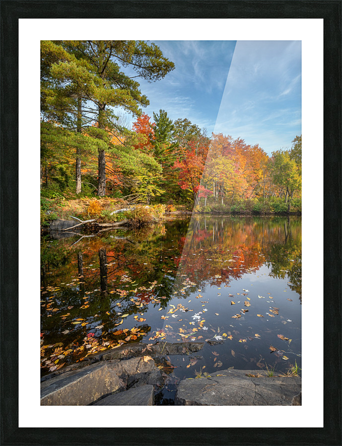 Skootamatta Picture Frame print