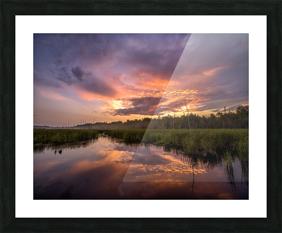 Brewing Picture Frame print