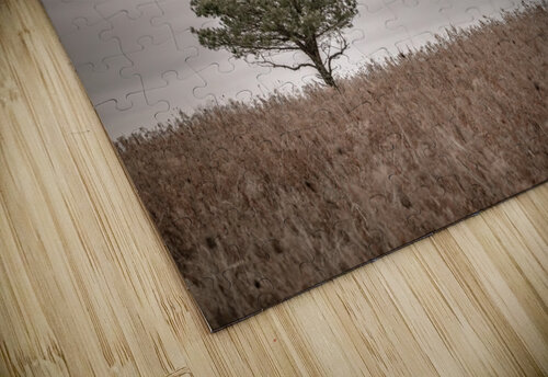 Lone Pine Dan Fleury puzzle