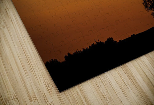 Distant Tree Dan Fleury puzzle