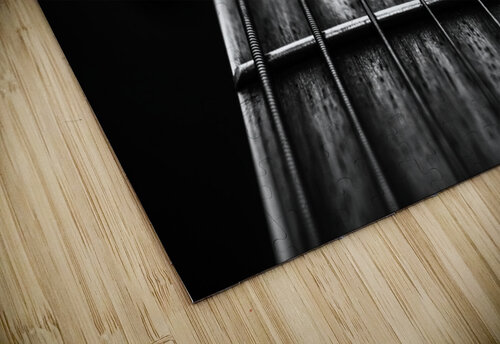 Guitar Frets Dan Fleury puzzle