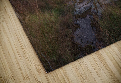 Misty Barn Dan Fleury puzzle