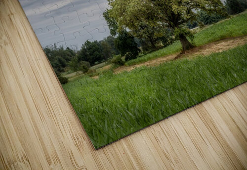 The Tree Stormy Sky Dan Fleury puzzle