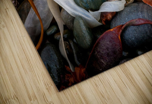 Stones and Shell Dan Fleury puzzle