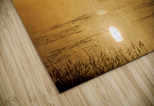 Summer Time Fun Dan Fleury puzzle