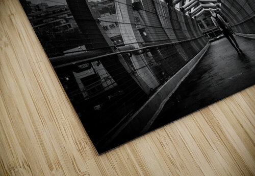 Toronto Foot Bridge Dan Fleury puzzle