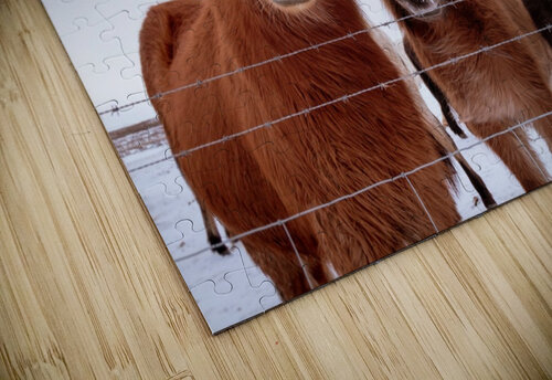 Three Amigos Dan Fleury puzzle