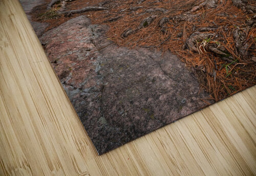 Taking Root Dan Fleury puzzle