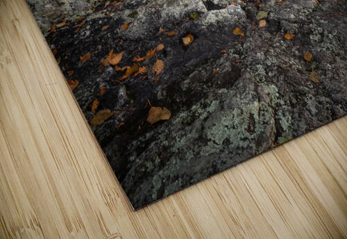 Stoney Waterfall Dan Fleury puzzle