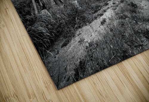 The Barnyard Dan Fleury puzzle