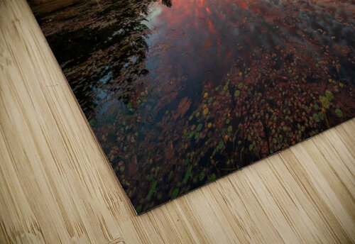 Mountain Rd Pond Dan Fleury puzzle