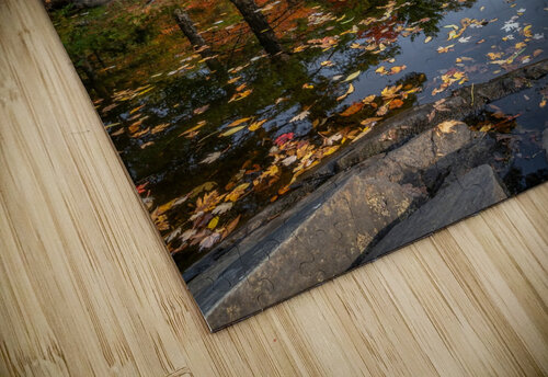 Skootamatta Dan Fleury puzzle
