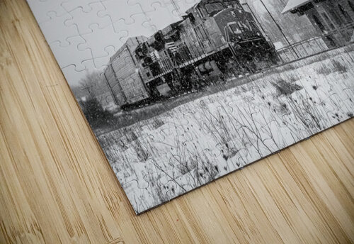 Napanee Station Dan Fleury puzzle