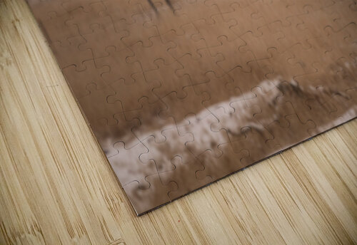 Short Eared Own Dan Fleury puzzle