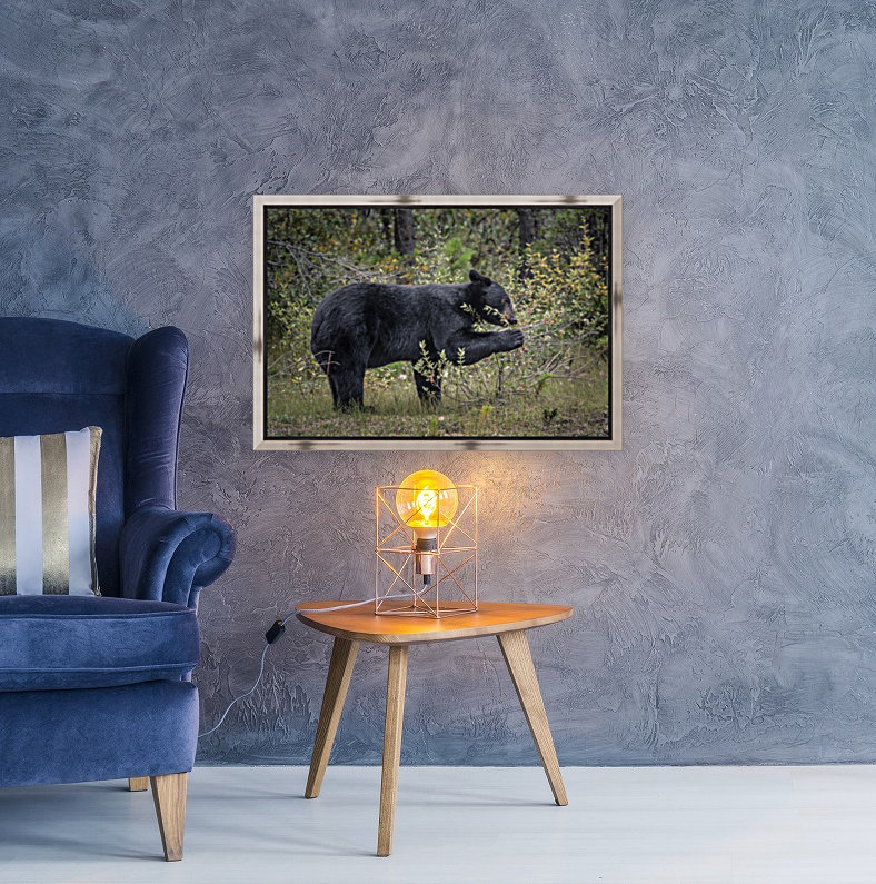Berry Picking Bear Reproduction