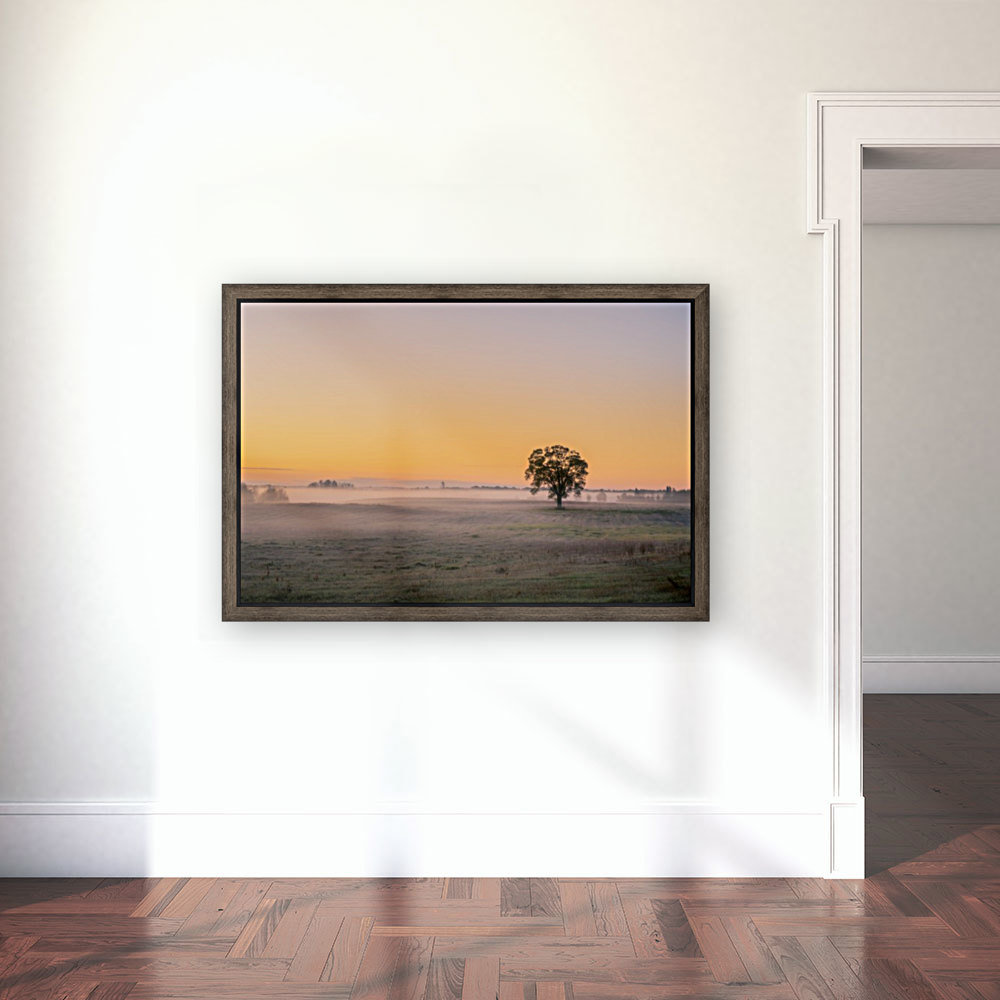 Moring Fog Reproduction