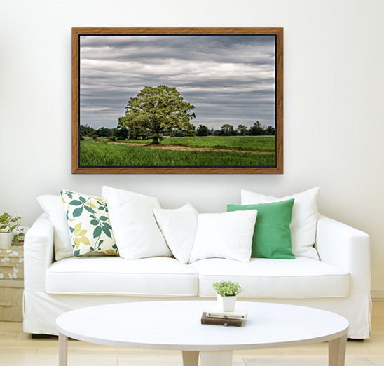 The Tree Stormy Sky Reproduction