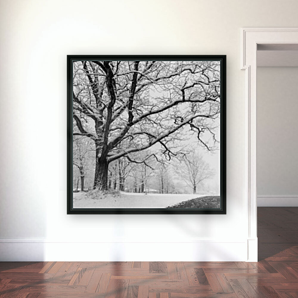 First Snowfall Reproduction