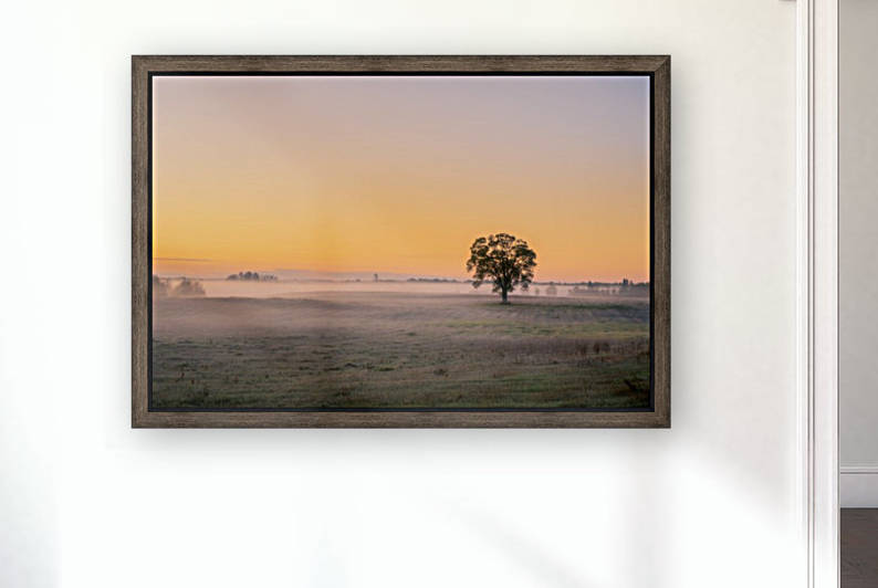 Moring Fog by Dan Fleury