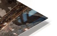 Abandoned Altar HD Metal print