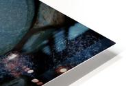Stones and Shell HD Metal print