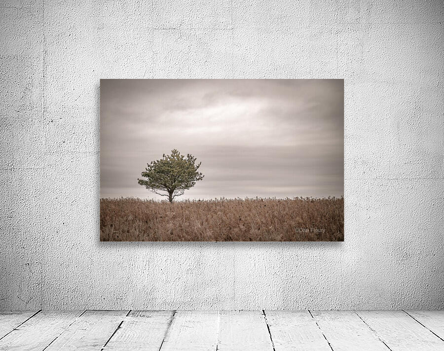Lone Pine Wall Preview