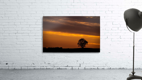 Distant Tree Wall Preview