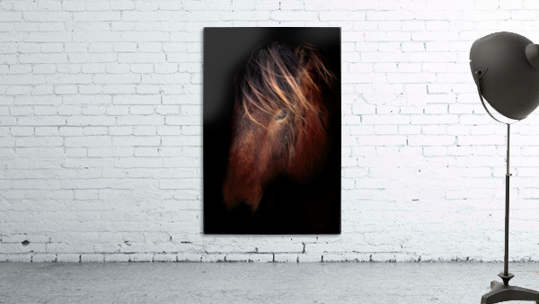 Horse Portrait Wall Preview
