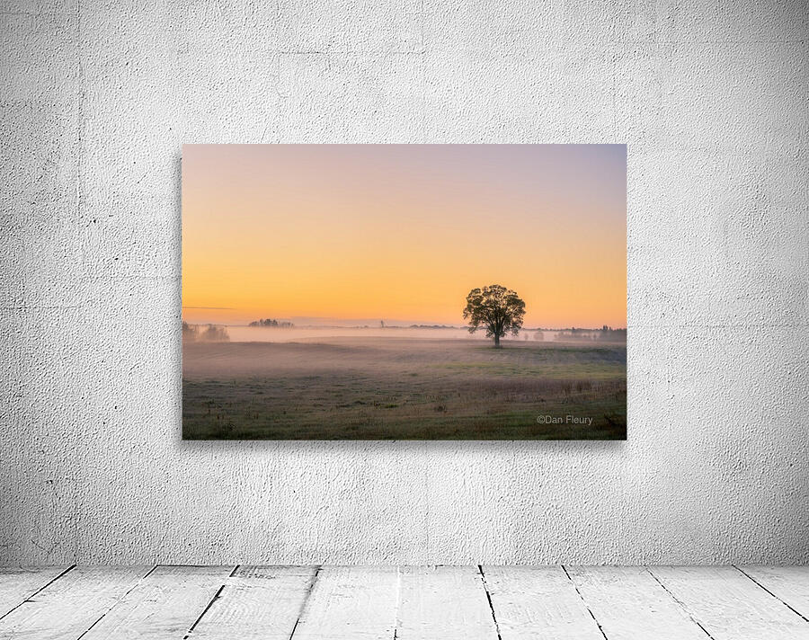 Moring Fog Wall Preview