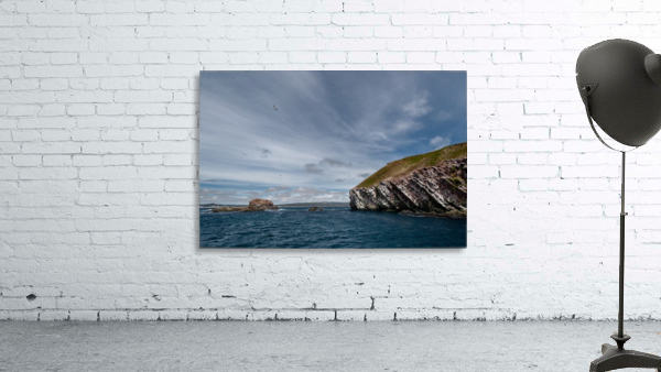 Newfoundland Cape Wall Preview