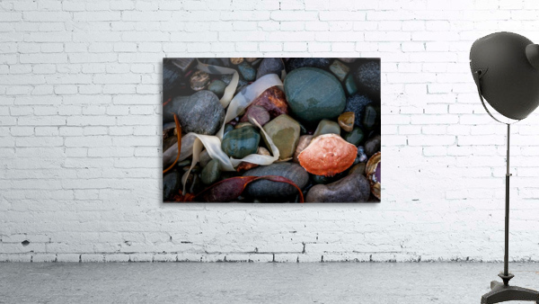 Stones and Shell Wall Preview