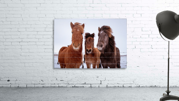 Three Amigos Wall Preview
