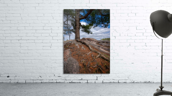 Taking Root Wall Preview