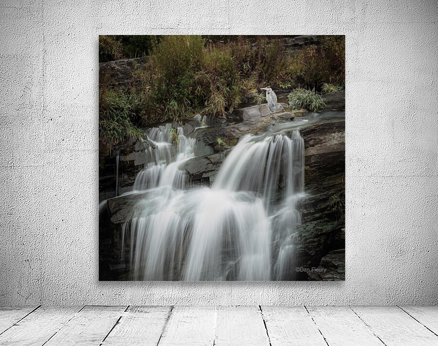 Heron on Hogs Back Wall Preview