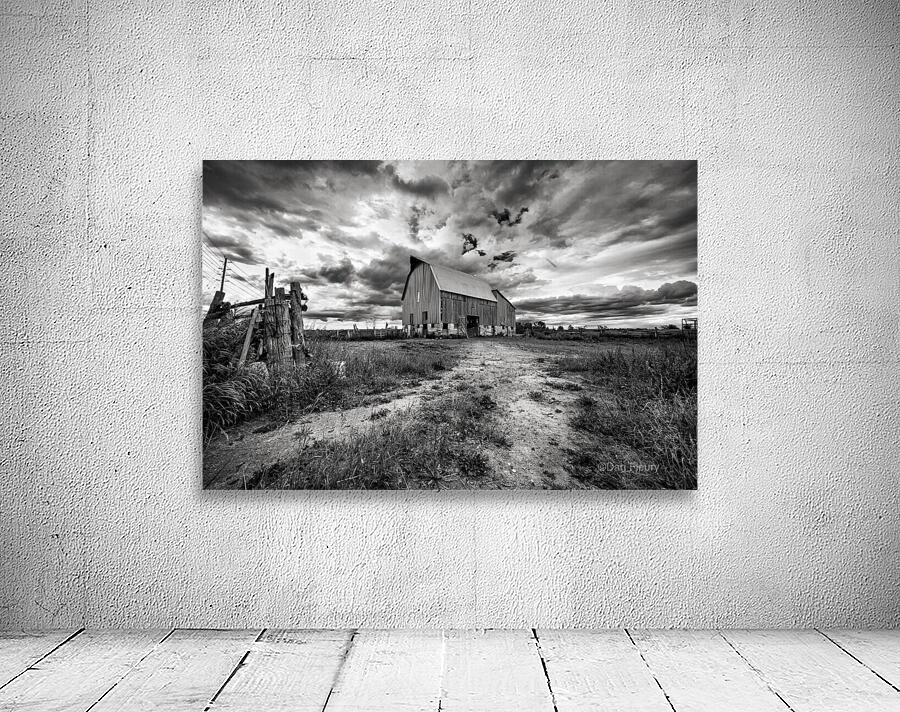 The Barnyard Wall Preview