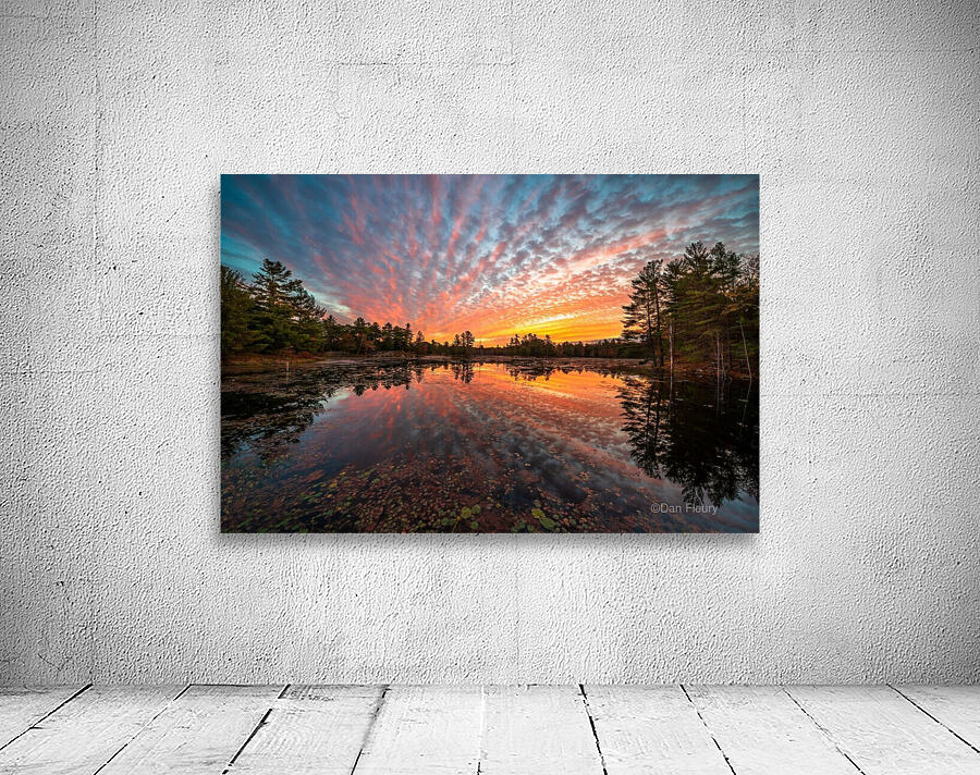 Mountain Rd Pond Wall Preview