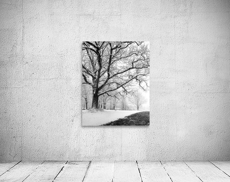 First Snowfall Wall Preview