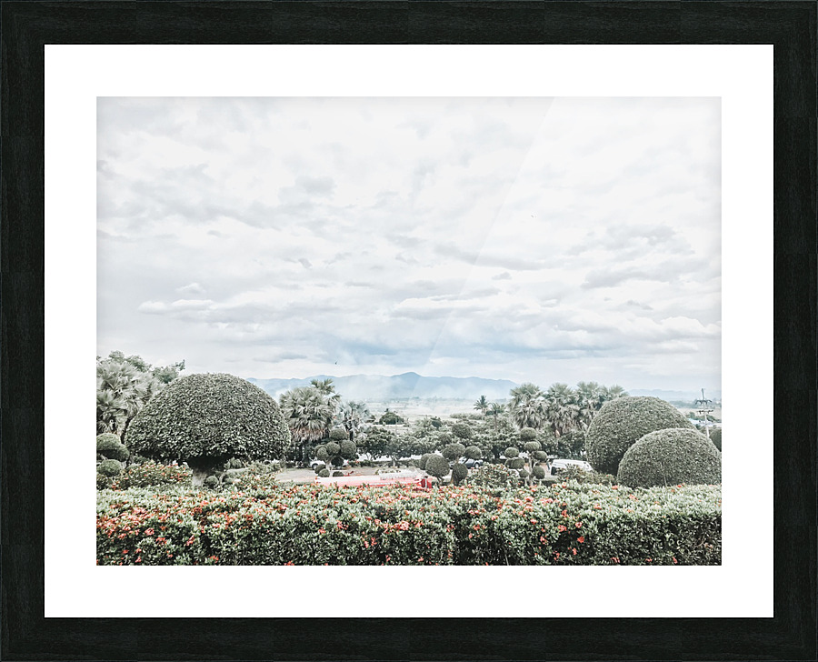 Nature Picture Frame print