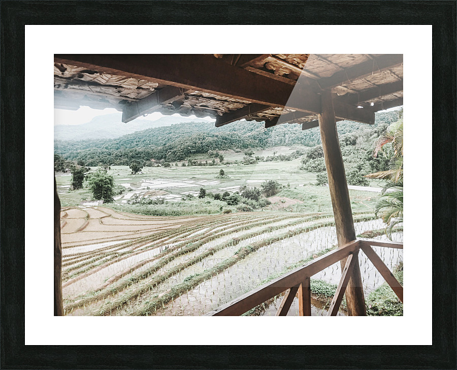 Rice Fields Picture Frame print
