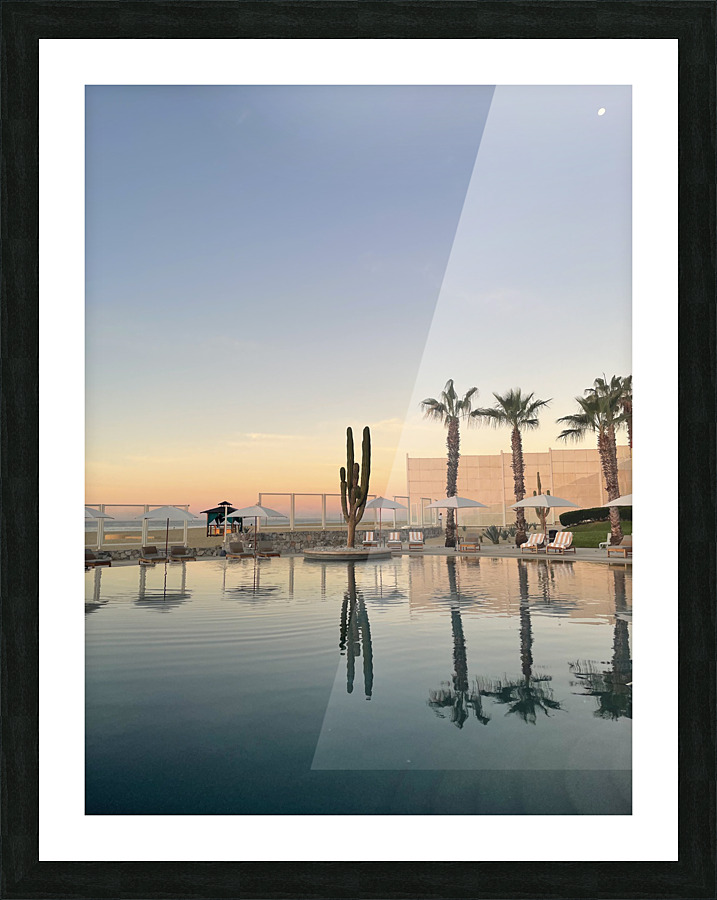 Cactus Picture Frame print