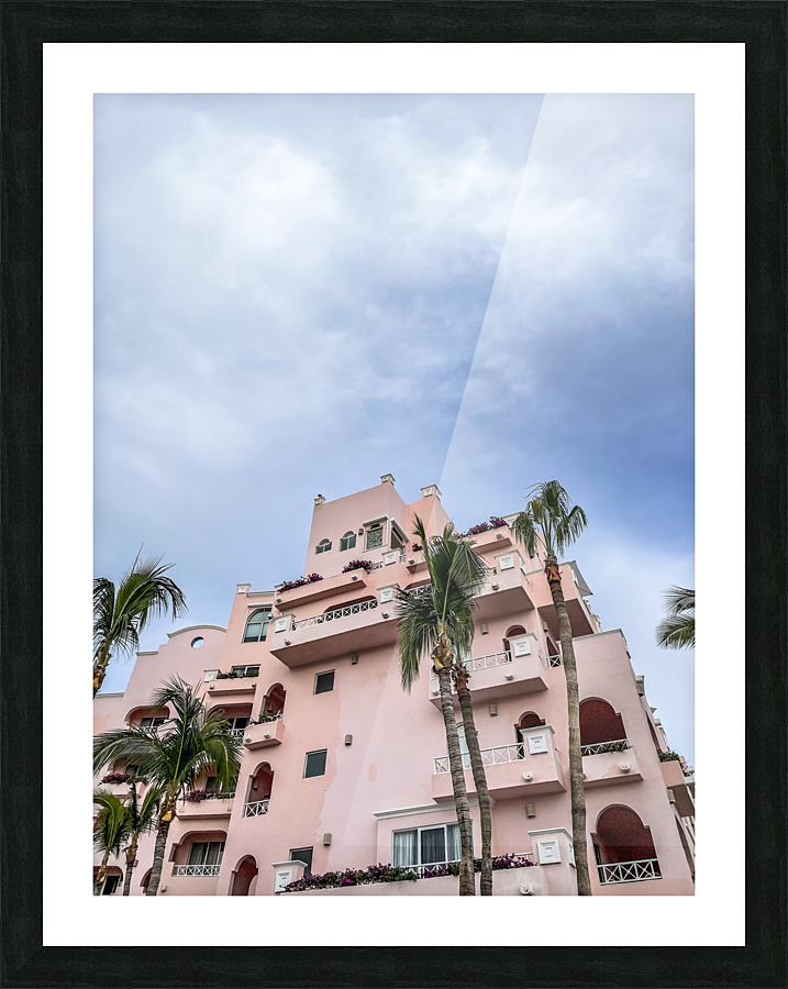 Rose Picture Frame print