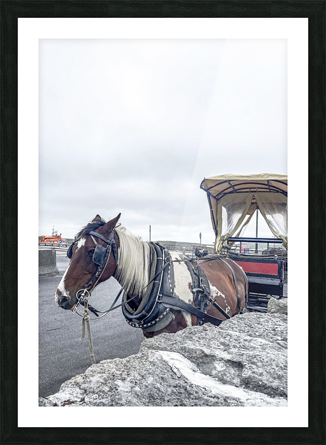Horse Picture Frame print