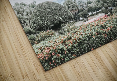 Nature Kerry Elaine Photography puzzle