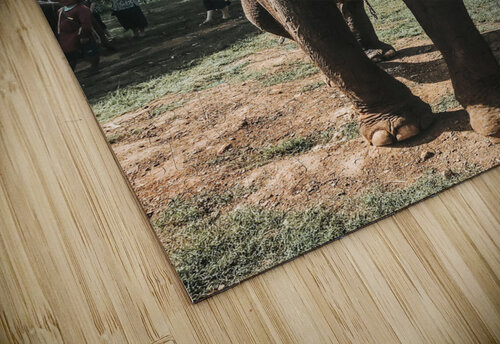 Elephant Kerry Elaine Photography puzzle