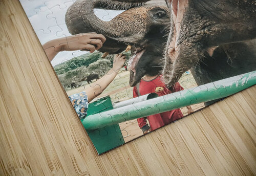 Elephant Kerry Elaine Photography puzzle