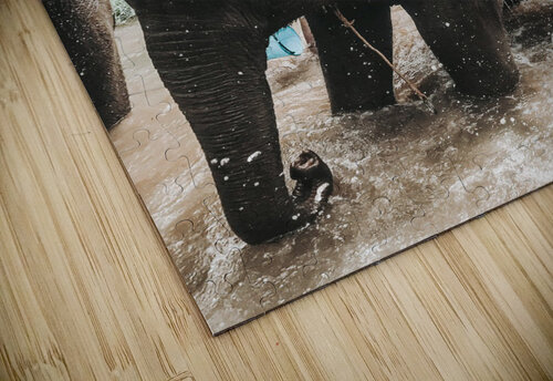 Elephant Kerry Elaine Photography puzzle